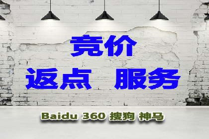 竞价广告赚钱秘籍：百度实战案例